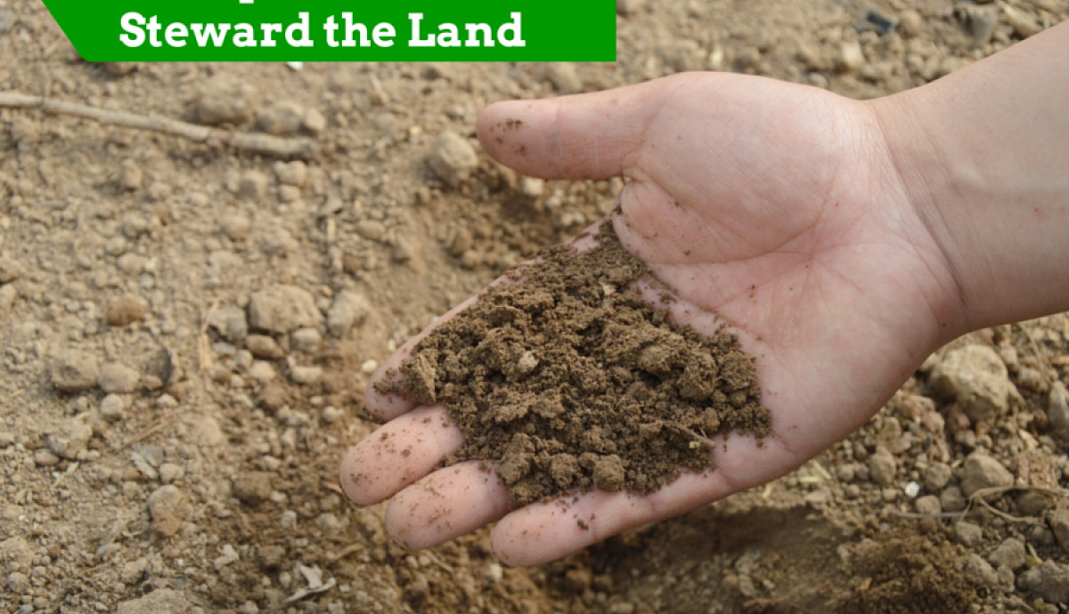 4 Ways Farmers Steward the Land